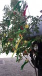 20180430 181840