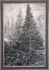 Bor, ulje na platnu, 40 x 60 cm